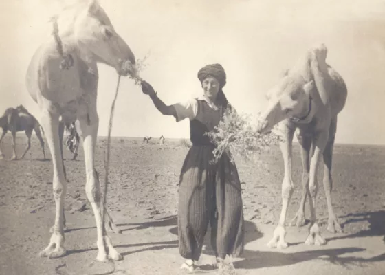 Portrait photographique d'Odette du Puigaudeau dans le désert nourrissant deux dromadaires.